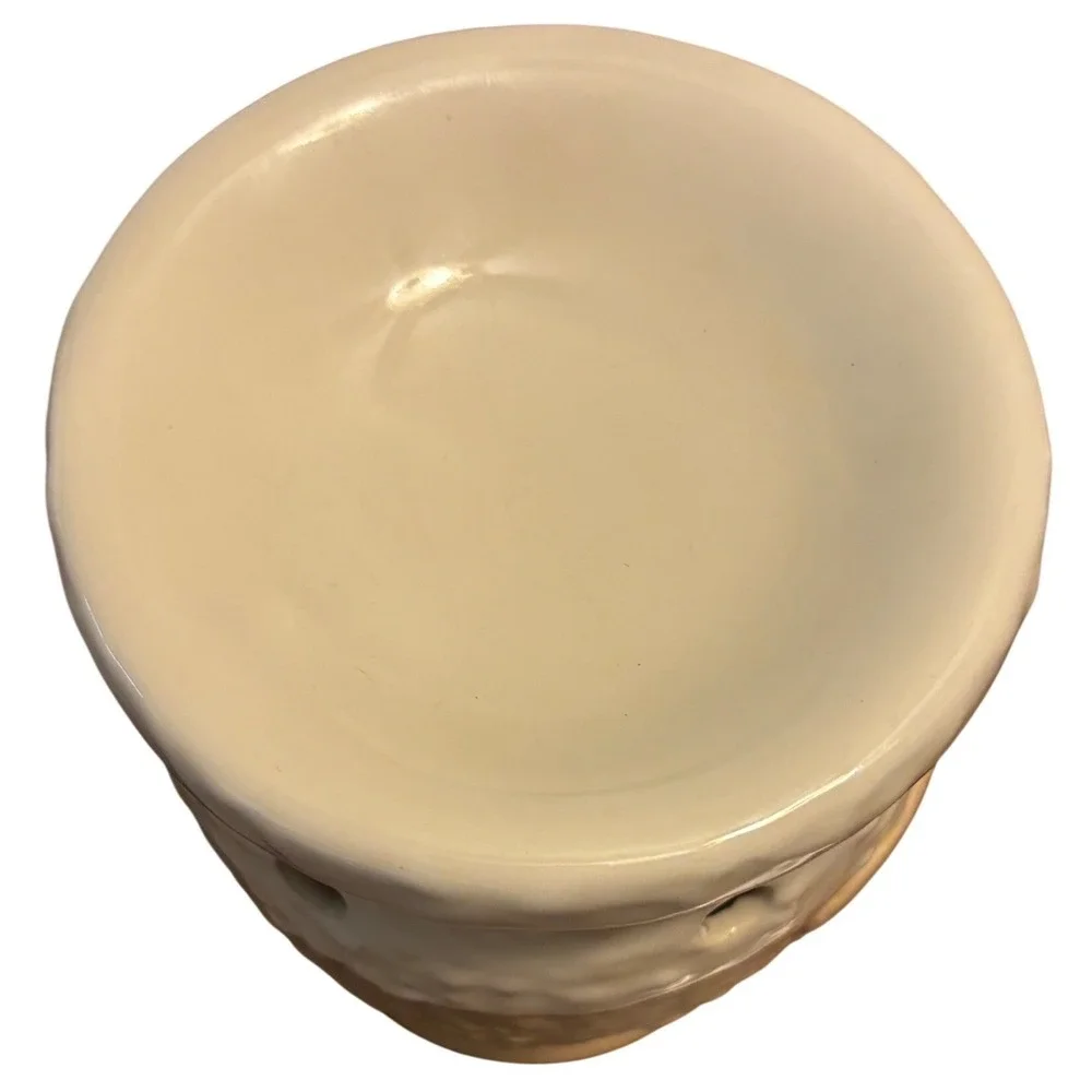 Yankee Candle Ceramic Dragonfly Wax Melt Tart Warmer Cream‎ Tan Rustic 6 Inch